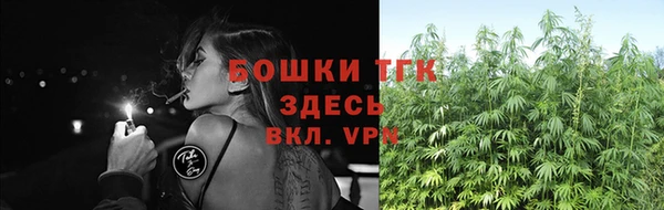 бошки Дмитров