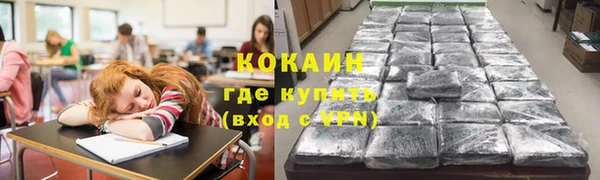 стафф Дмитровск