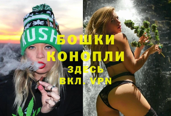 стафф Дмитровск