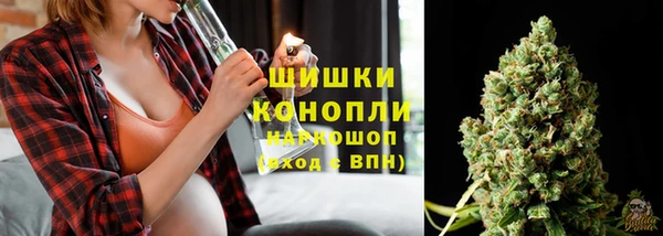 бошки Дмитров