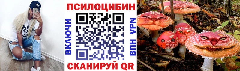 закладка  Магнитогорск  Галлюциногенные грибы GOLDEN TEACHER 